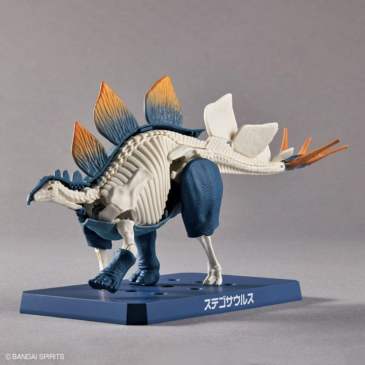 Bandai Dinosaur Plastic Stegosaurus Model Kit - Buildable Prehistoric Creature Toy