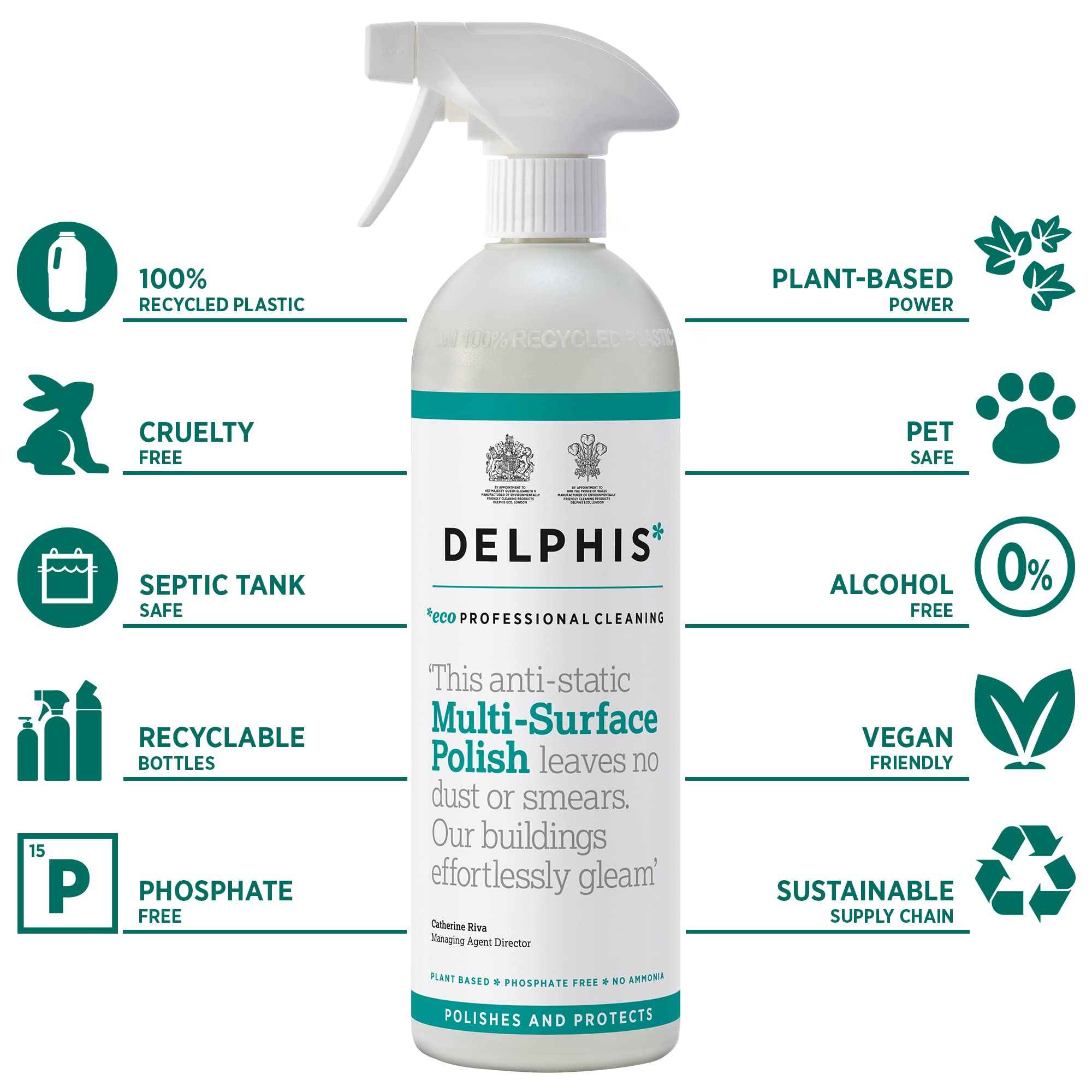 DELPHISECO Multi Surface Polish Spray - Anti Static & Streak Free | 700ml 2