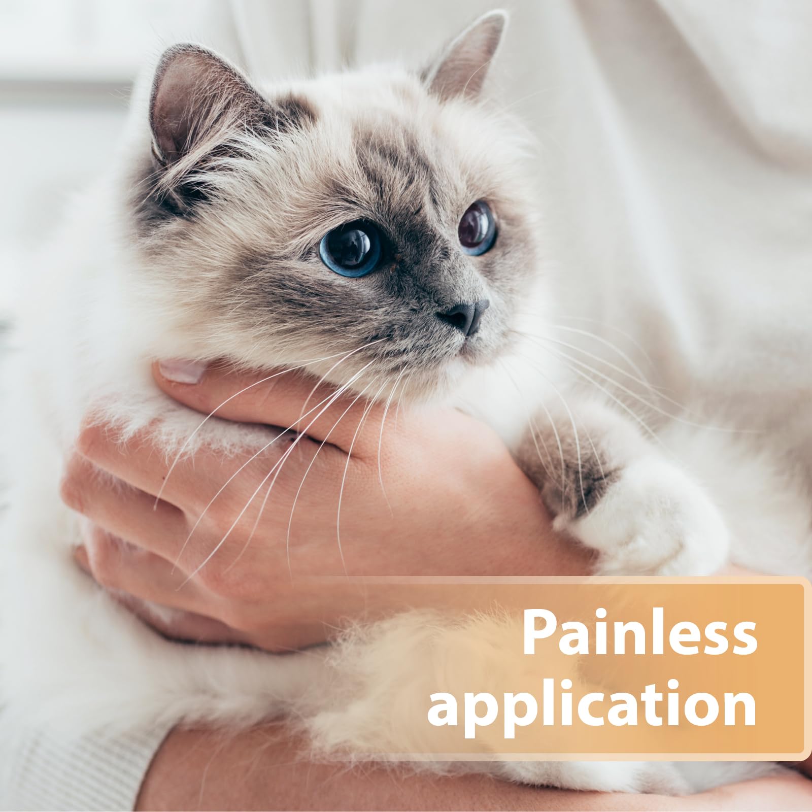 Felisept Wound Spray for Cats - 75ml Antiseptic | Veterinarian Recommended | Made in Germany 4