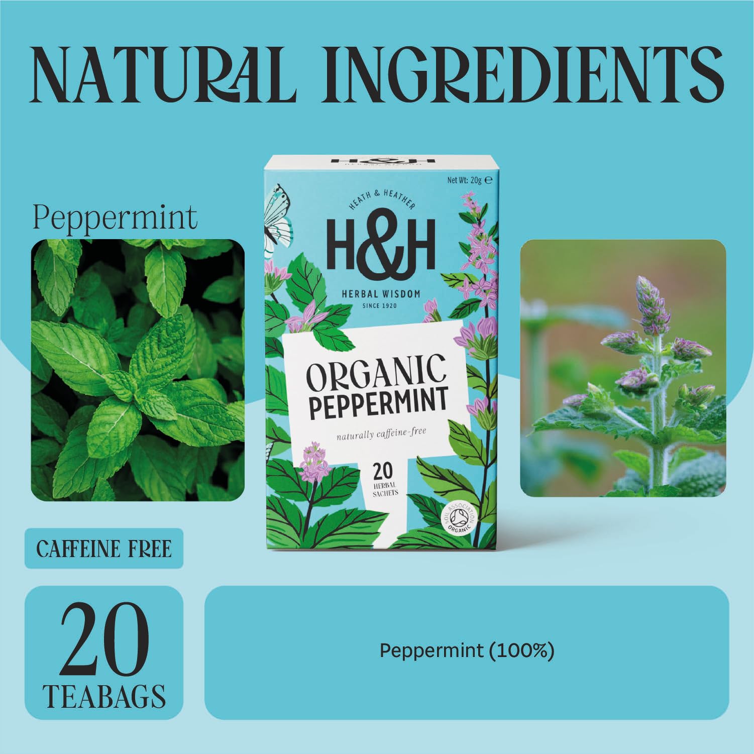 Heath & Heather Organic Peppermint Tea - 20 Count Teabags | Caffeine-Free Digestive Support