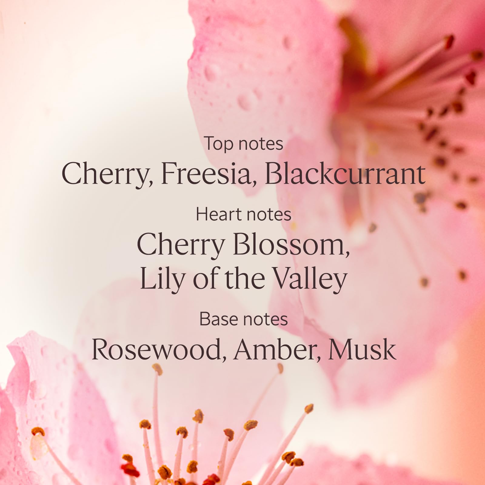 L'OCCITANE Cherry Blossom Shower Gel - Gentle Cleansing, Floral Scent, 500ml 3