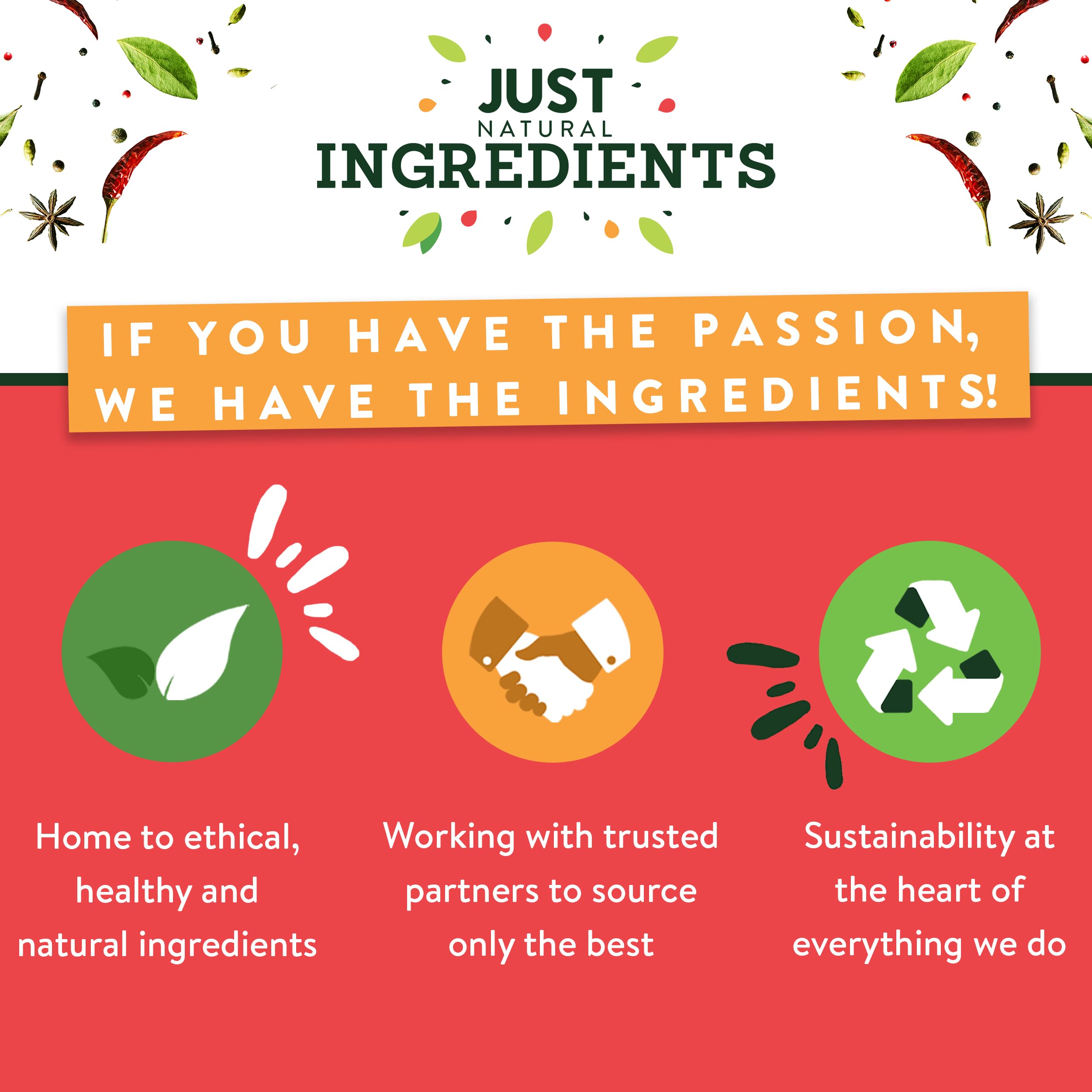 JustIngredients Tomato Flakes 100g - Organic Dried Tomatoes Flakes for Cooking 2