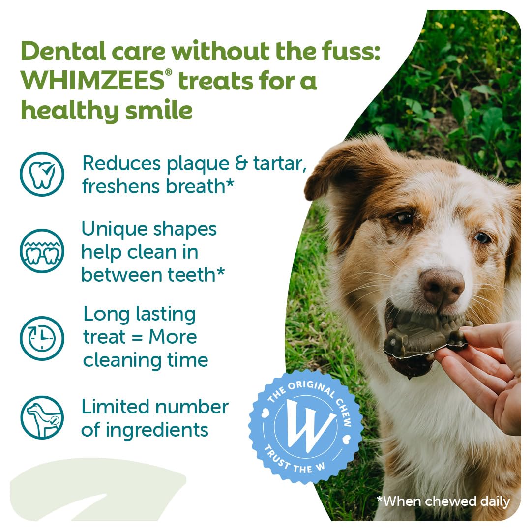 WHIMZEES Natural Dental Dog Chews - Large Alligator Shape | 6 Count | Prevents Plaque Up To 80%