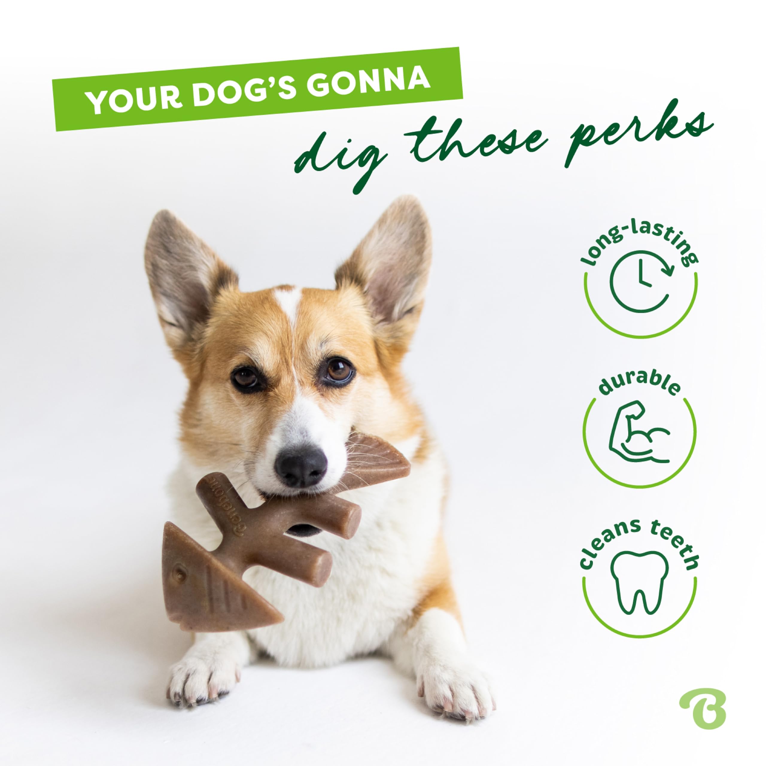 Benebone Fishbone Durable Chew Toy - Jack Salmon Flavor | 2 Pack for Tiny Dogs Under 15 lbs 3