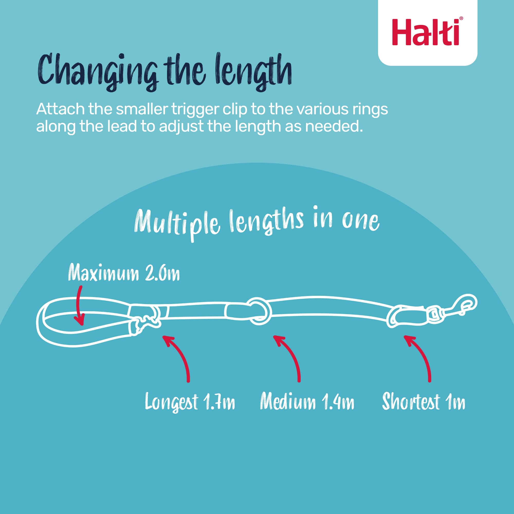 Halti Training Lead - Versatile Multi-Use Dog Lead | Pink, Large, 2m 2
