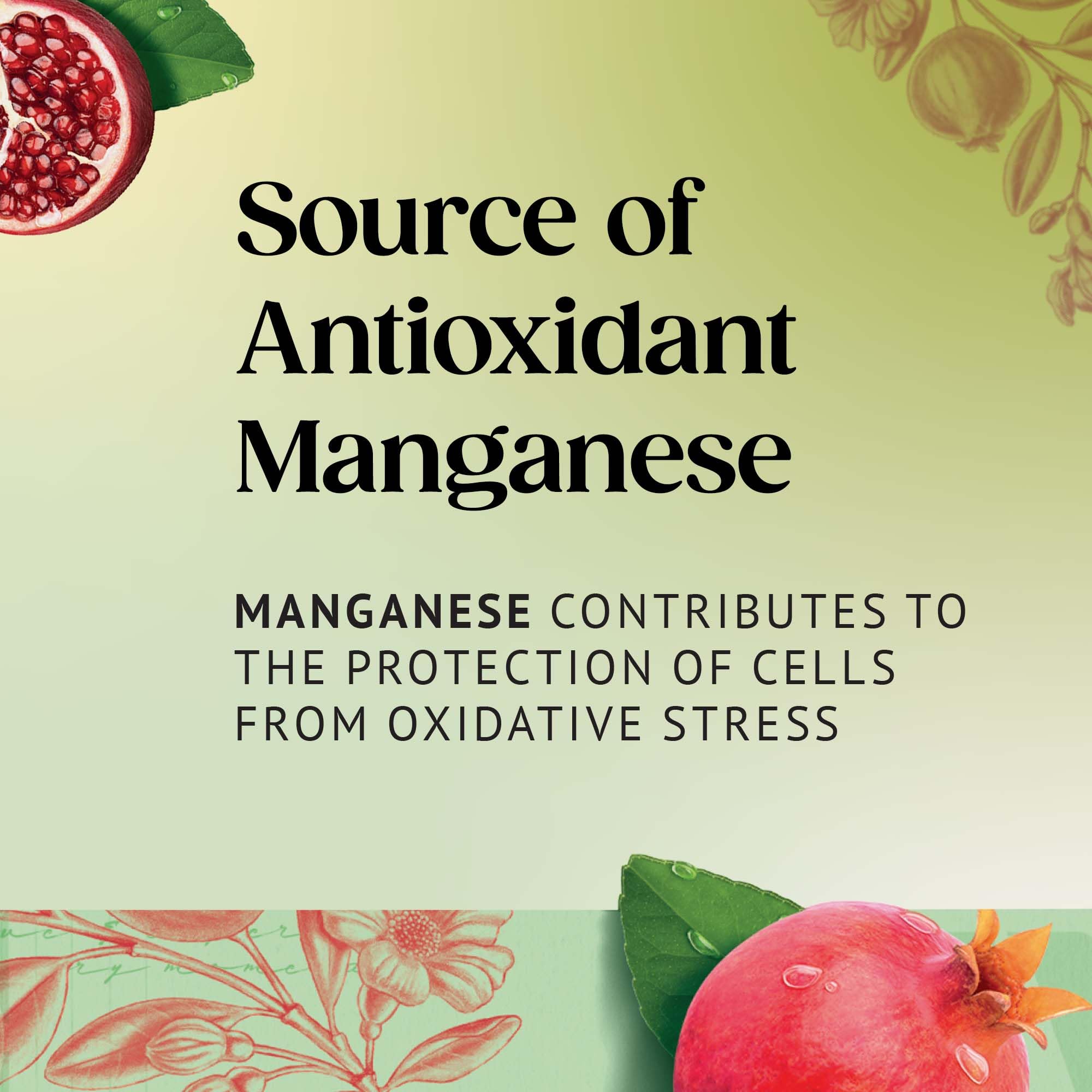 Twinings Grüner Tee &amp; Granatapfel 80 Teebeutel (Multipack mit 4 x 20 Beuteln) 3