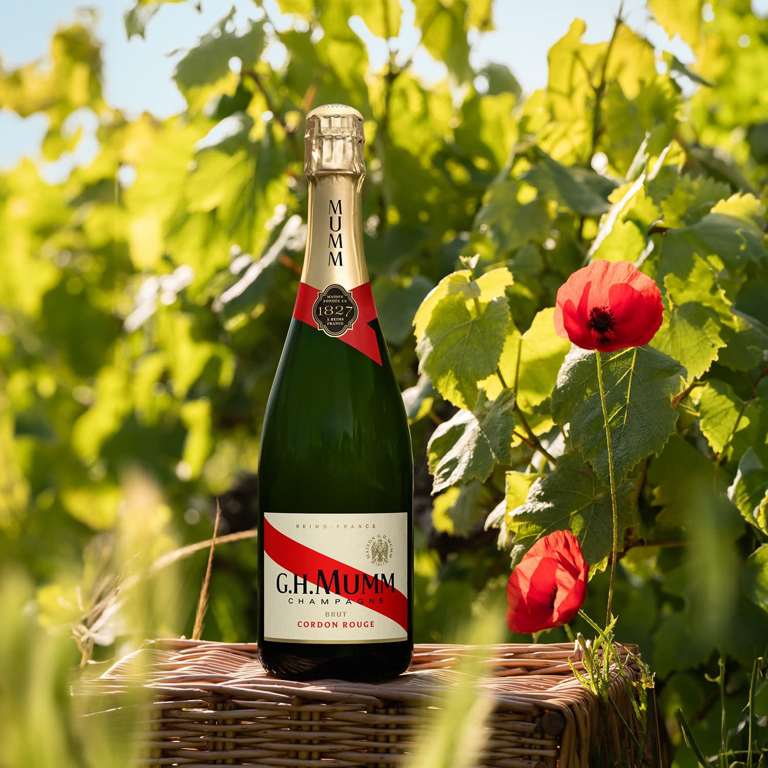g.h. mumm Cordon Rouge Brut Champagne | 75 cl | France 2
