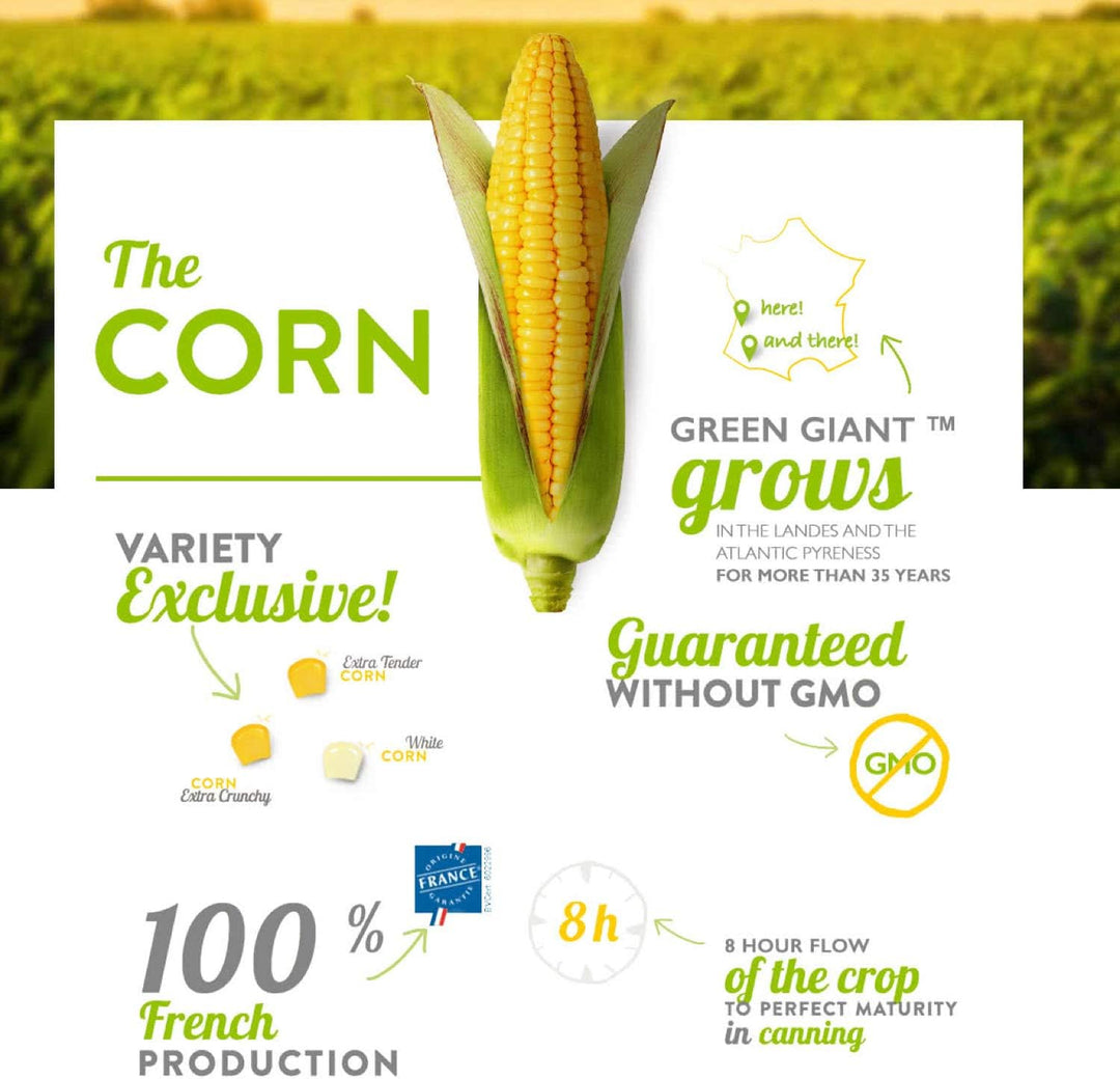 Green Giant - Original Sweetcorn 340g Tinned Corn with No Added Ingredients