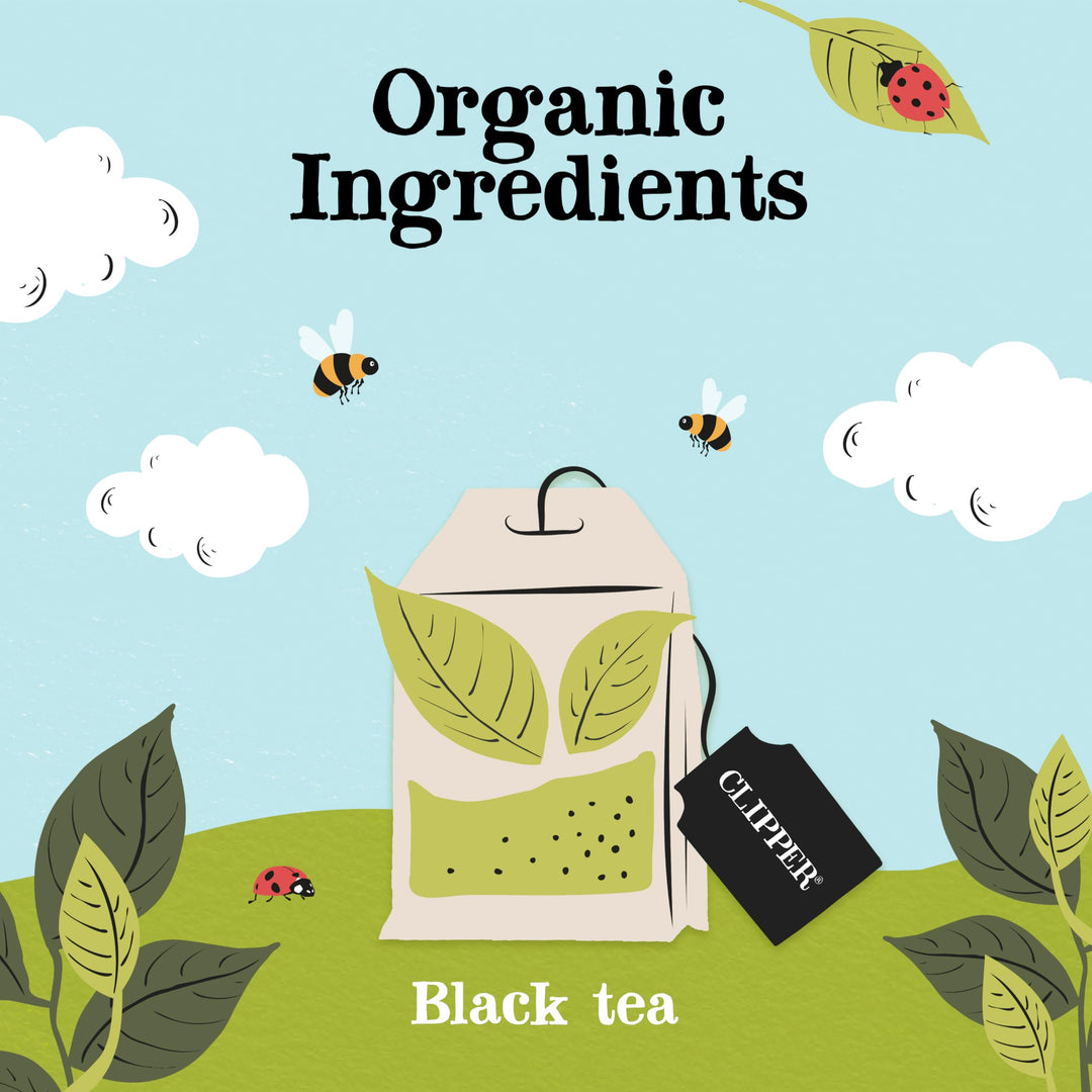Clipper Fairtrade Organic Everyday 40 Unbleached Plastic-Free Tea Bags