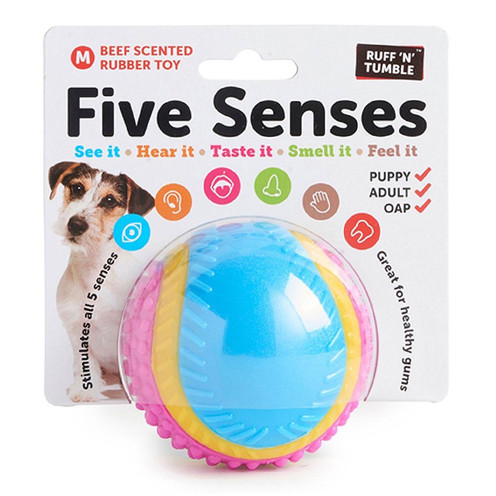 Sharples Five Senses Rubber Dog Ball - Beef Scented | Medium Size | Multicoloured 4