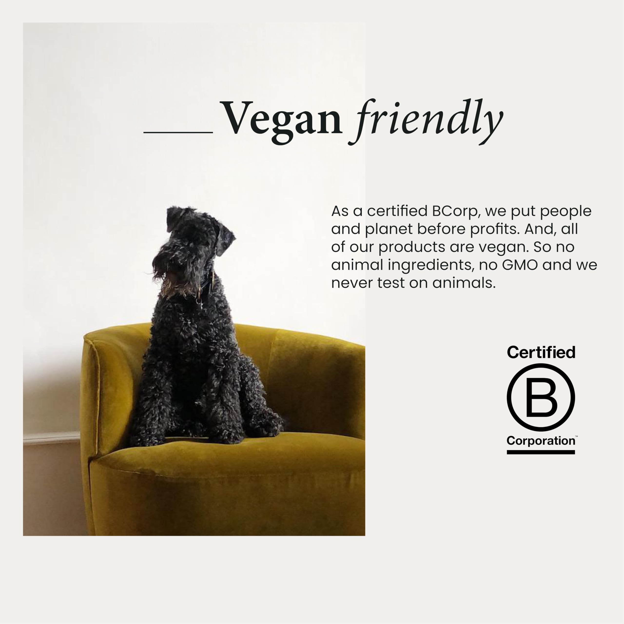 Wilton London Eco Friendly Cedarwood Laundry Liquid (1kg) 13