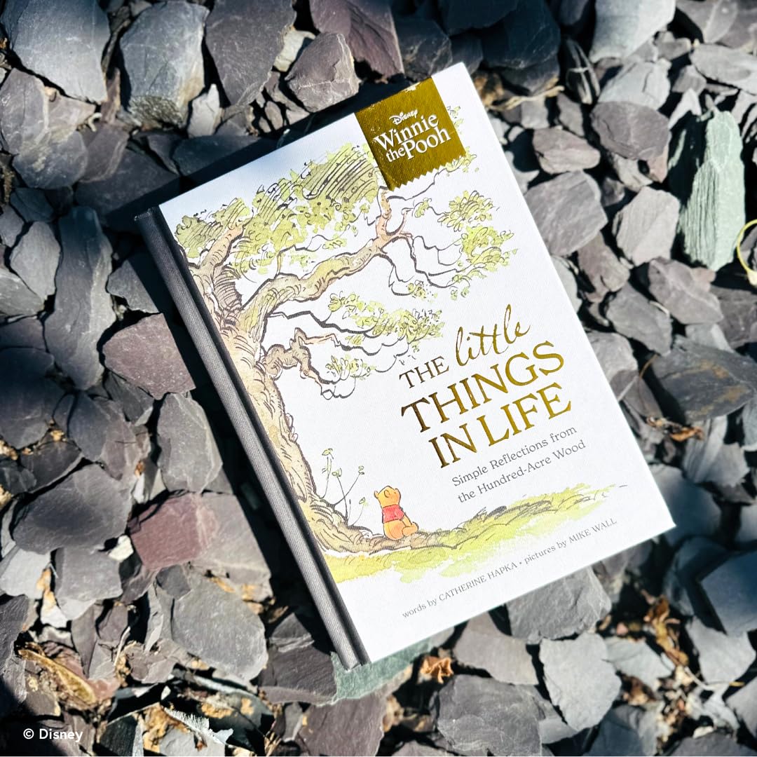 Studio Press Winnie the Pooh - The Little Things in Life: Simple Reflections Hardcover 5