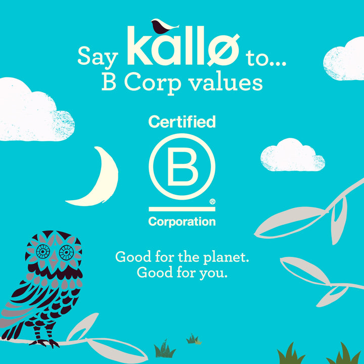 Kallo Dark Chocolate Mini Rice Cakes - Gluten Free Snack, 9 x 84g