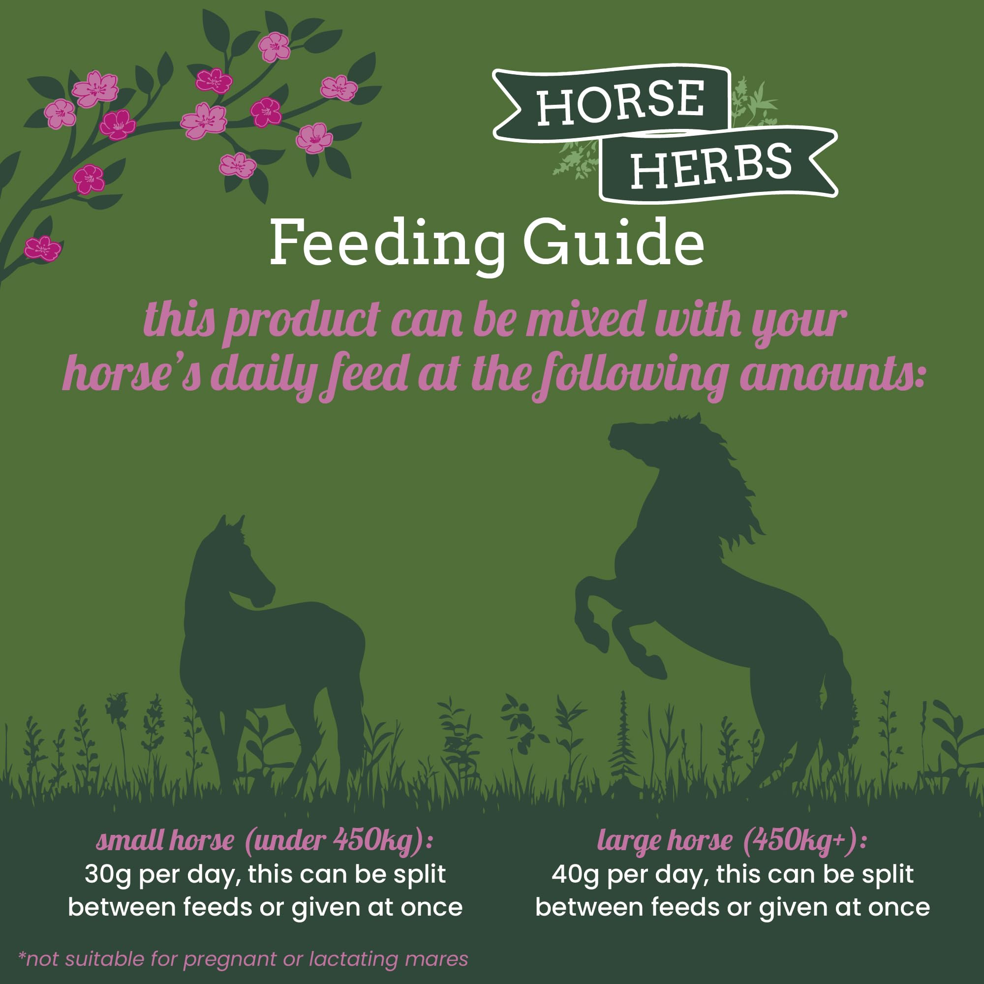 Horse Herbs Calming Mix - 1kg Natural Herbal Supplement for Horses 2