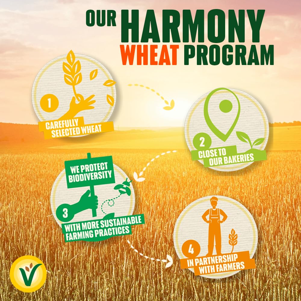 Belvita Breakfast Biscuits Honey and Nuts, 50g - Crunchy Wholegrain Biscuits with Honey, Nuts & Chocolate Chips 5