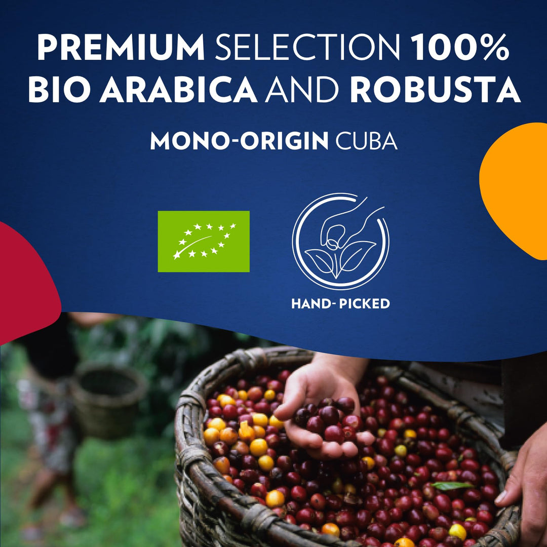 Lavazza Tierra For Amazonia - Organic Whole Coffee Beans