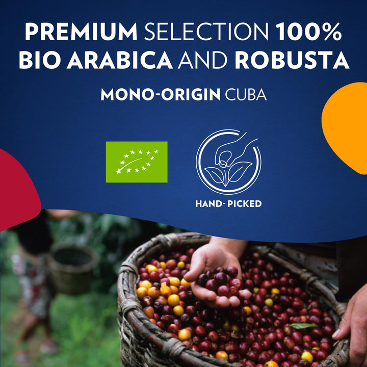 Lavazza Tierra For Amazonia - Organic Whole Coffee Beans