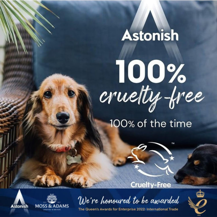 Astonish - Specialist Clean & Revive Stain Remover (350g)
