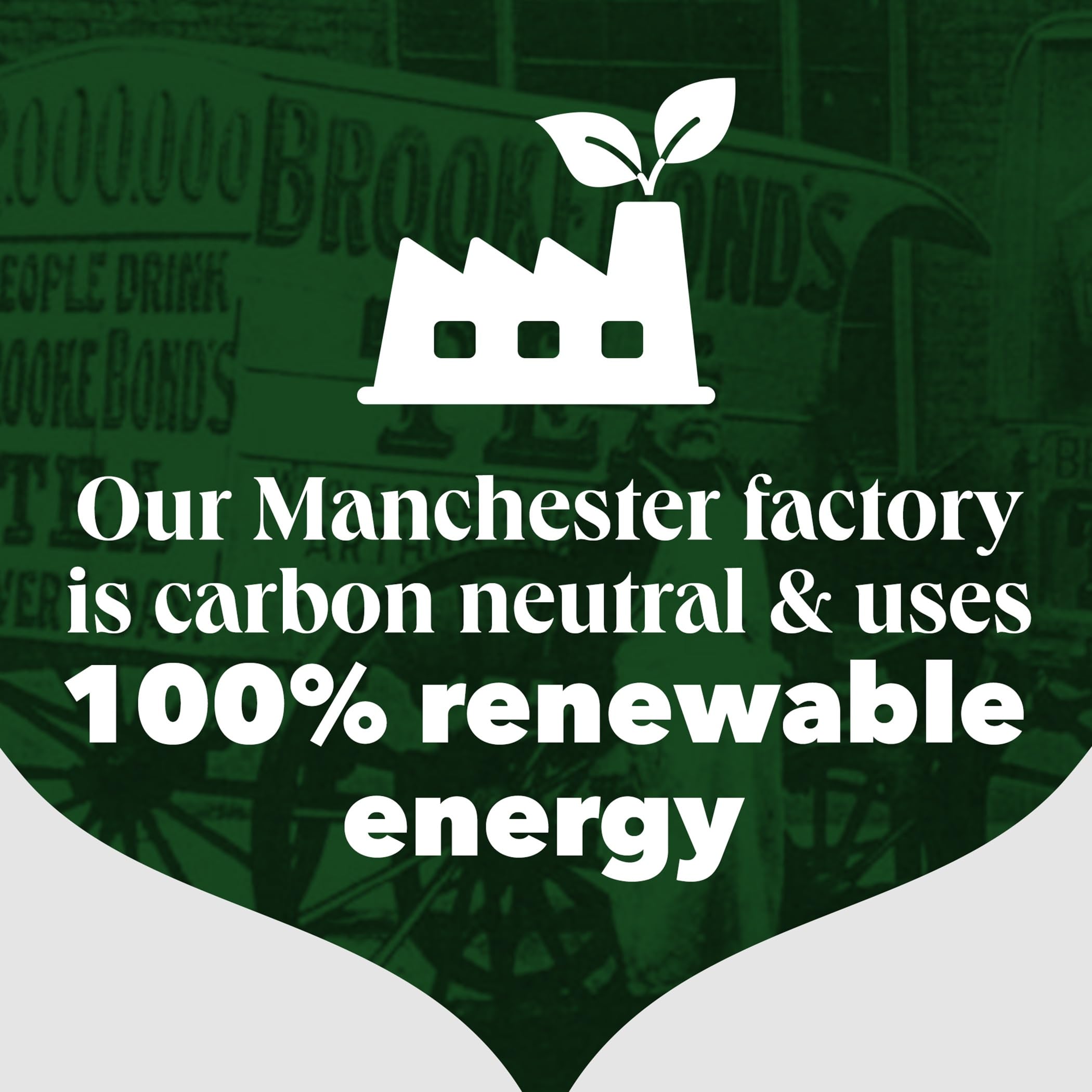 PG Tips - Earl Grey Individually Wrapped Tea Bags, 150 Enveloped Flavoured Black Tea 9