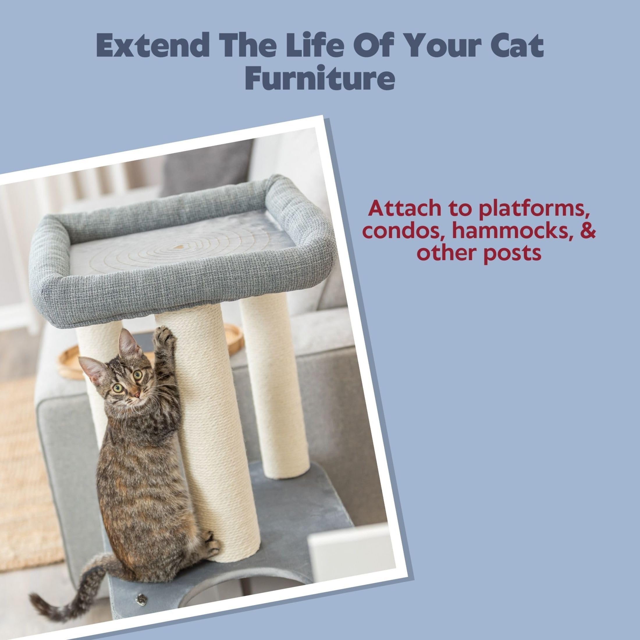 TRIXIE Spare Posts for Scratching Posts - 9/30 cm Sisal Replacement | Fits Most Cat Trees 2