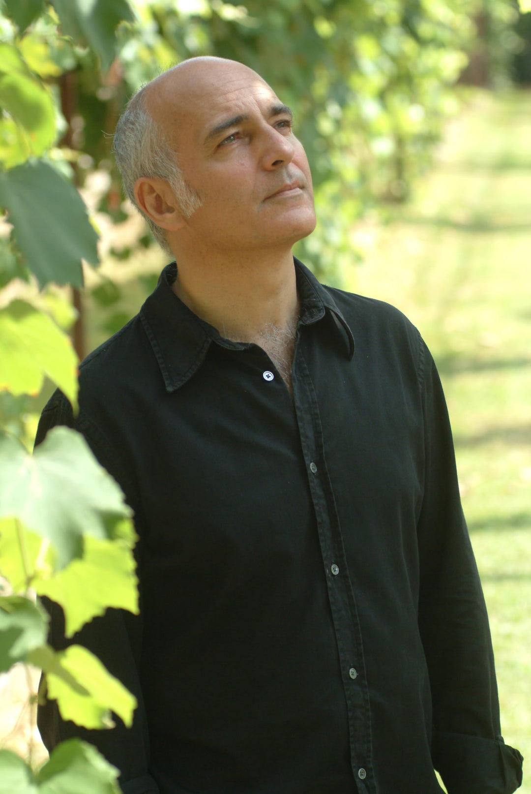 Ludovico Einaudi - Islands: Essential Einaudi [Audio CD]