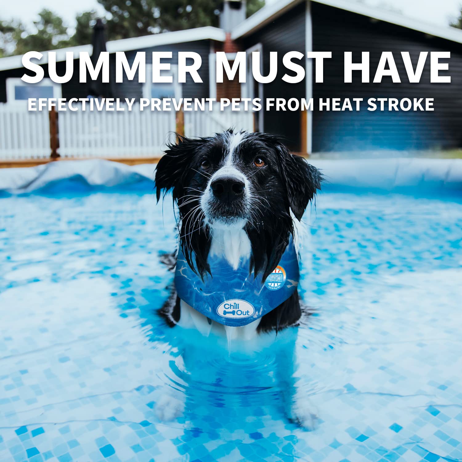 ALL FOR PAWS Chill Out Dog Ice Bandana - Instant Cooling Scarf for Summer | Blue, Large (Neck 44-52 cm) 4