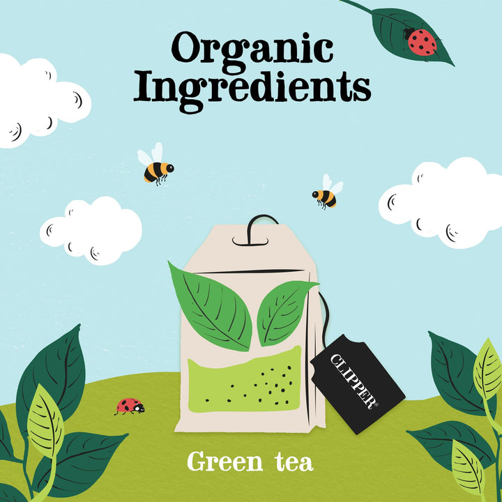 Clipper Organic Pure Green Tea Bags - Box of 40 Fairtrade & Biodegradable Tea Bags