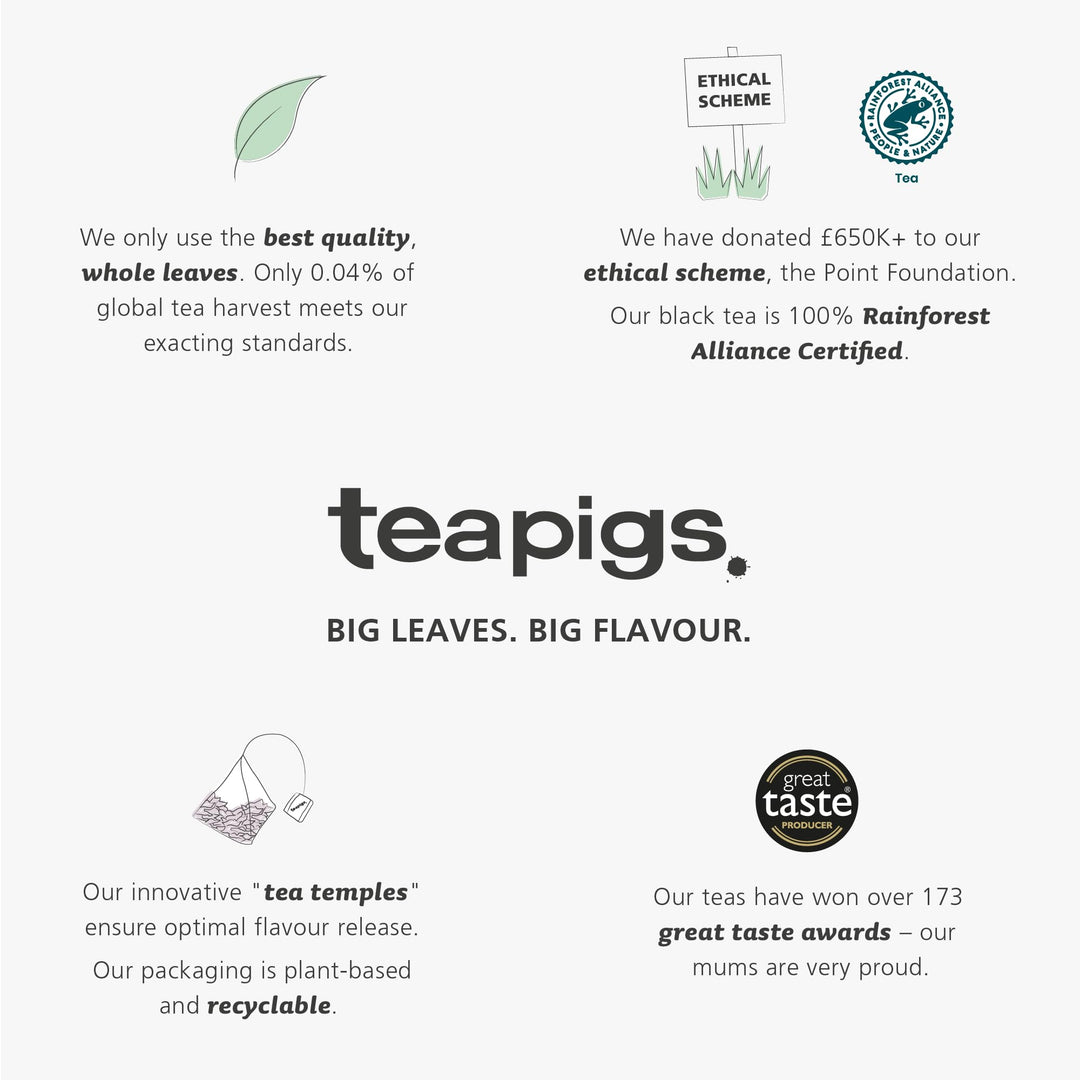 teapigs - Pumpkin Spice Chai Tea Caffeine-Free Tea Bags