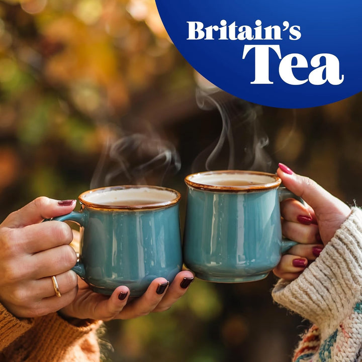 Tetley Everyday Original Tea - 160 Tea Bags, Black Tea Blend