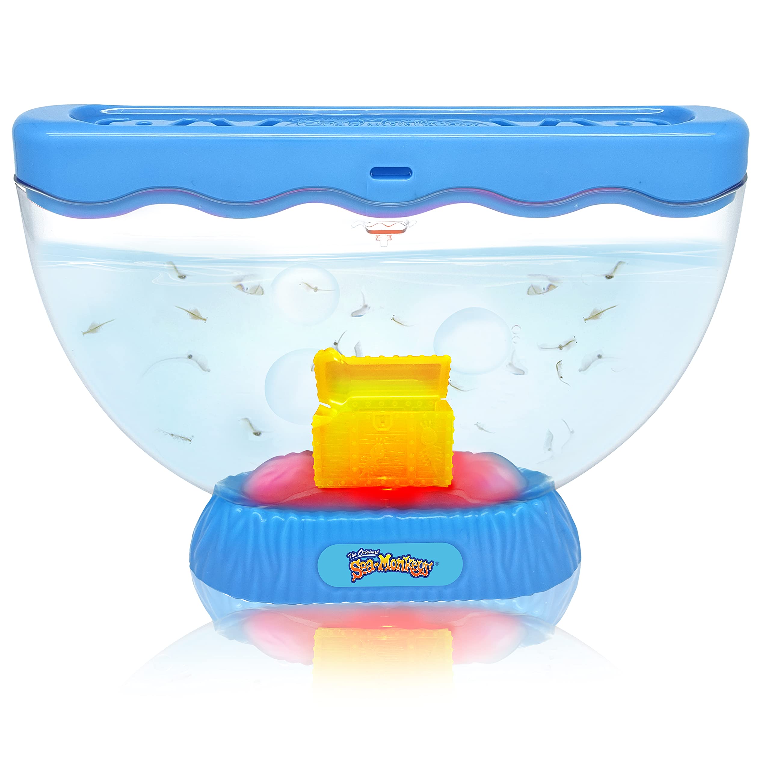 Sea Monkeys Ocean Treasure Aquarium - Educational Science Kit for Kids 6+ 2