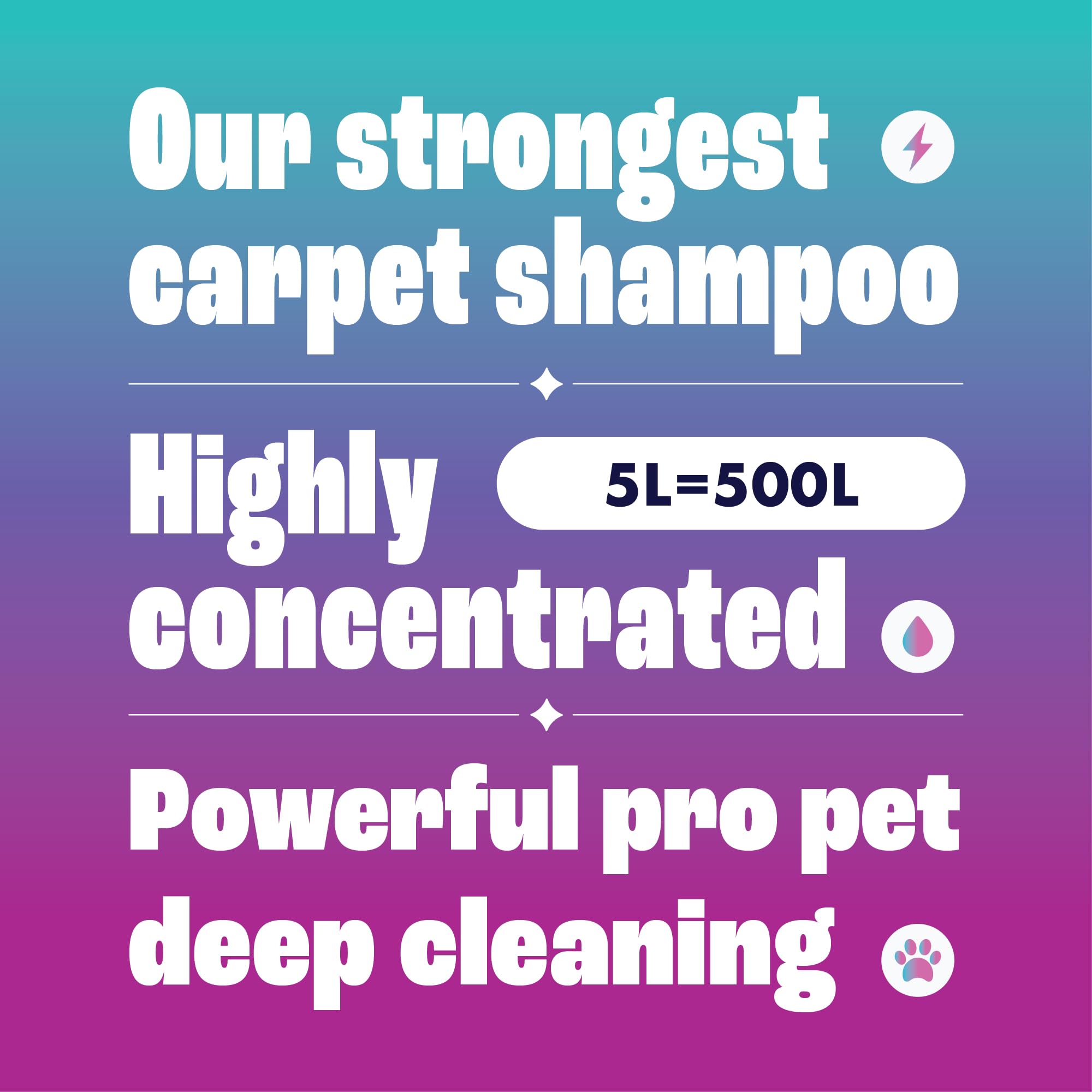 Dirtbusters Pet Pro Carpet Cleaner Shampoo - Concentrated 1L, Makes 100L, Low pH Formula 2