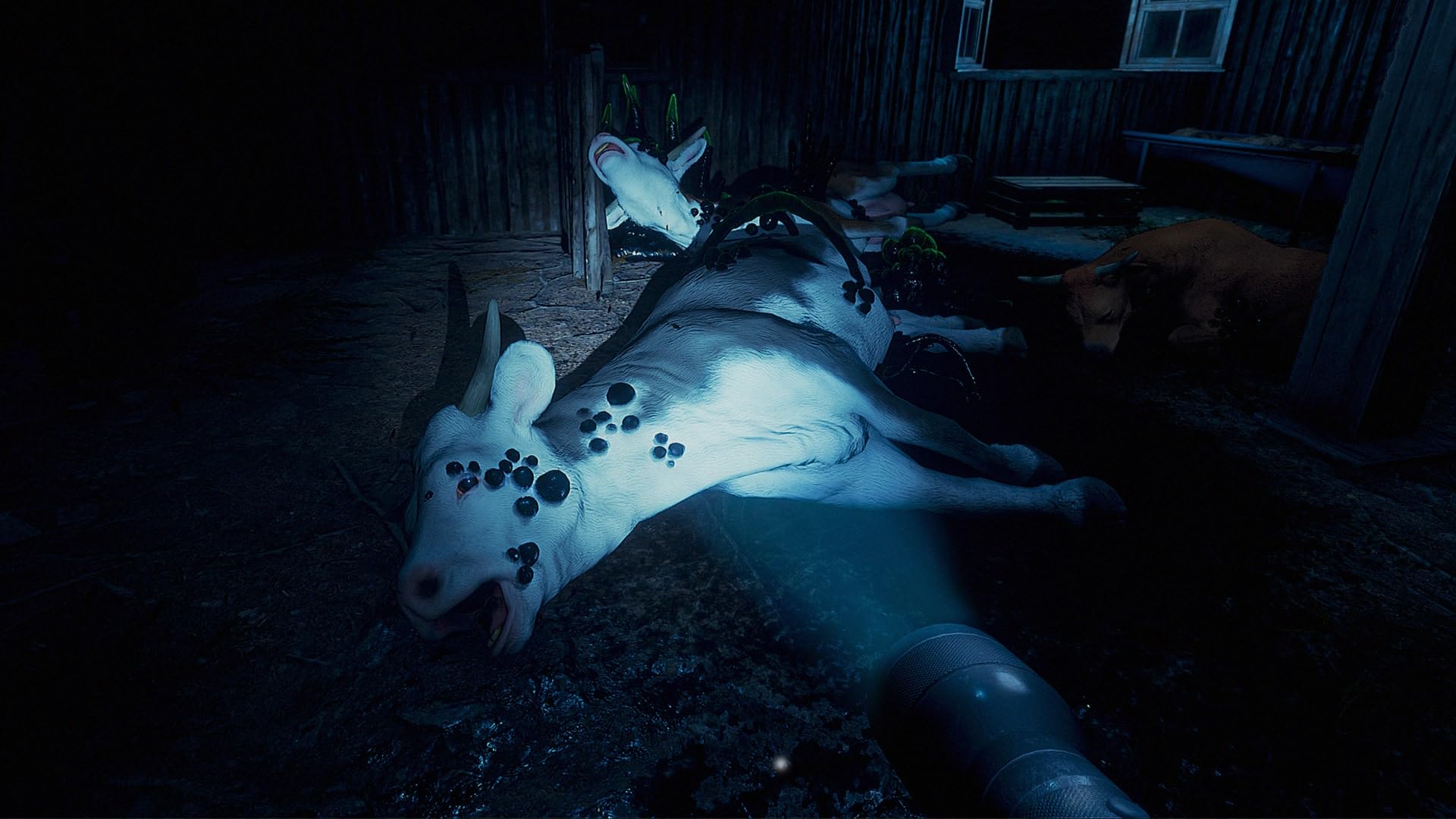 They Are Here [PS5] 6