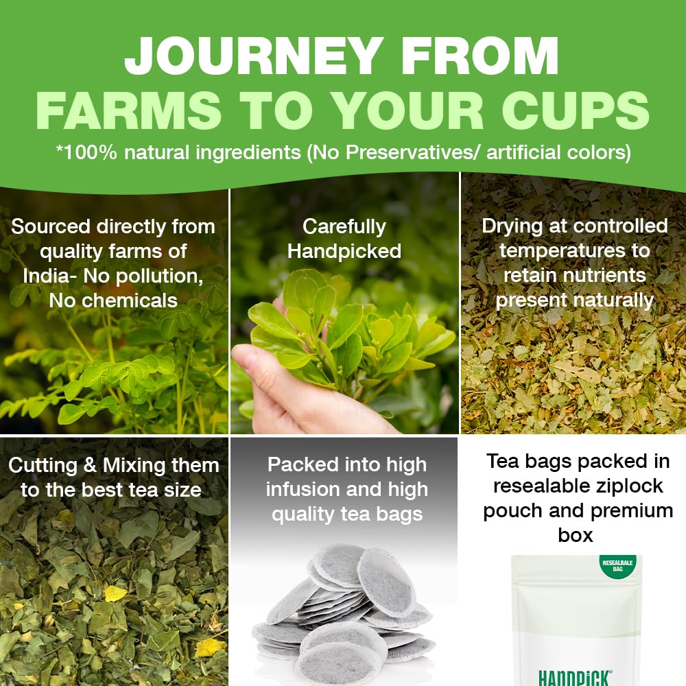 HANDPICK Moringa Tea Bags (100 Count) Non-GMO, Caffeine Free, Pure Moringa