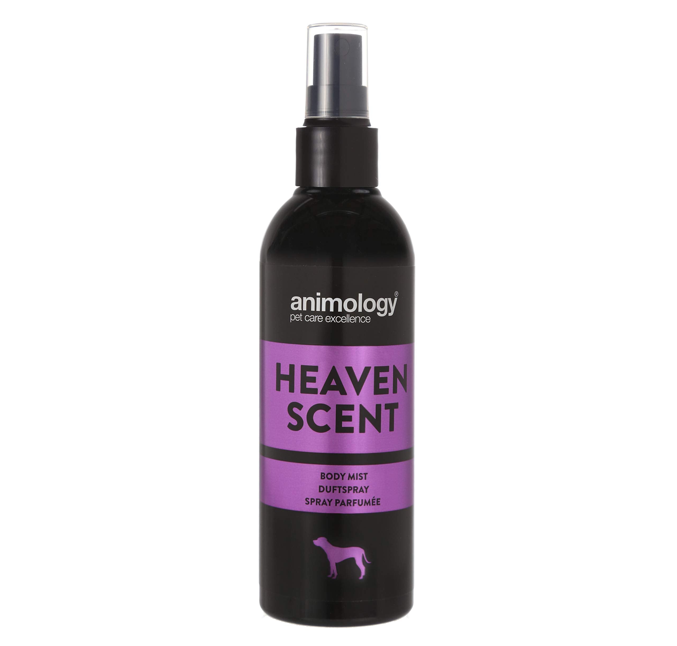 Animology Heaven Scent Body Mist - Long Lasting Floral Fragrance | 150 ml