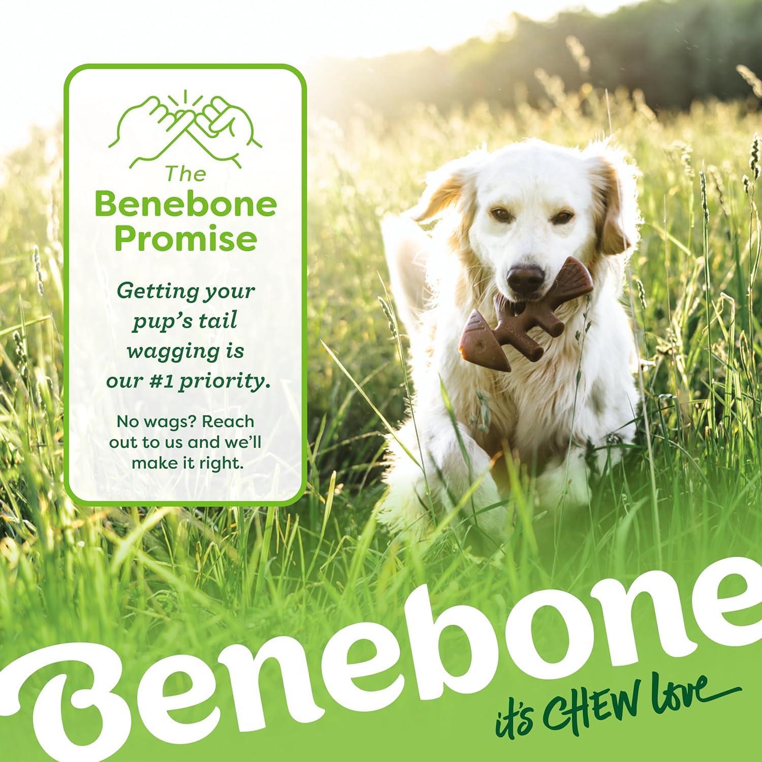 Benebone Durable Dog Chew Toy Box for Aggressive Chewers - 4 Pack Medium Nylon Chews with Bacon, Salmon & Maple Flavors 6