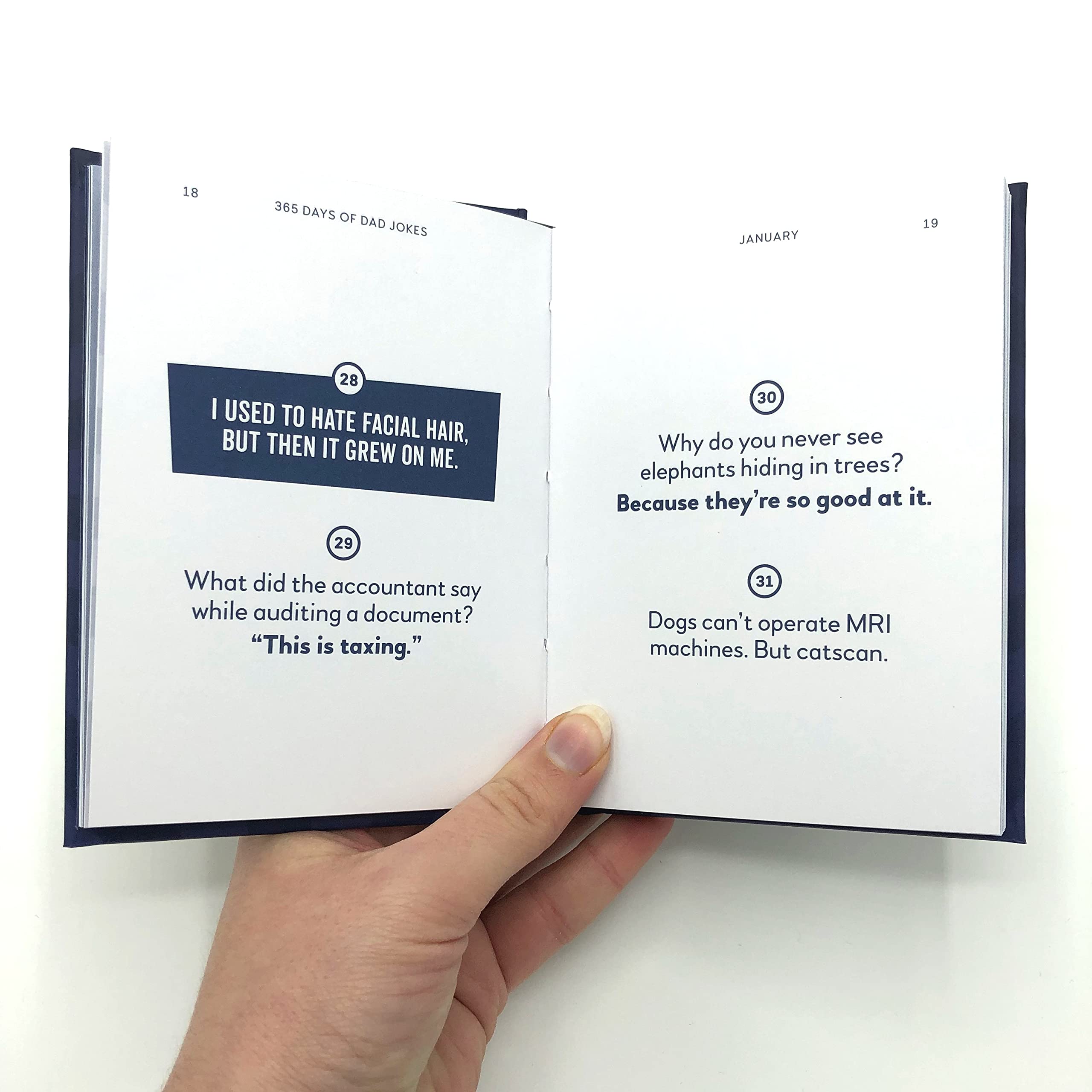 Summersdale 365 Days of Dad Jokes - Humour Book | 160 Pages | Hardcover 3