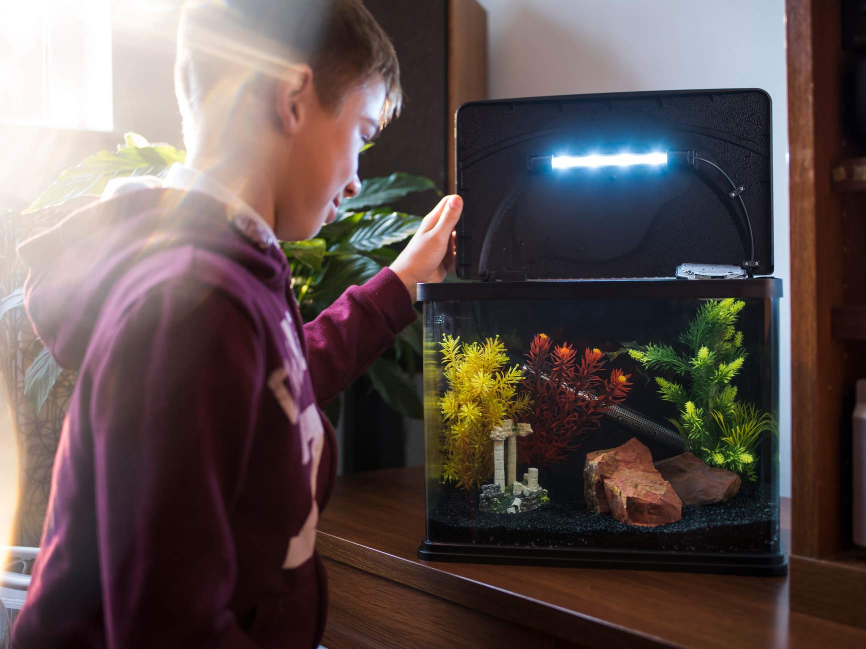 Interpet Deltatherm Aquarium Heater - 300W | Tropical & Marine | Up to 270 Litres 7