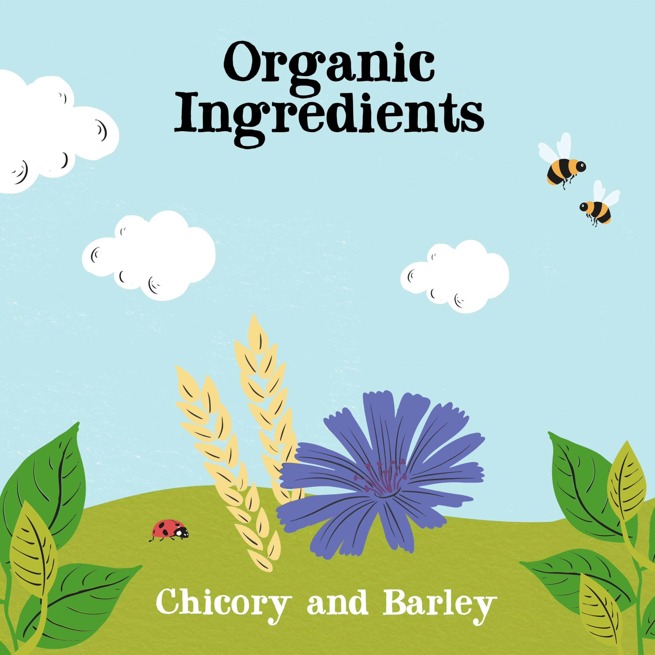 Clipper Organic No Caf Coffee Alternative 100g | Caffeine-Free Barley & Chicory Blend 5