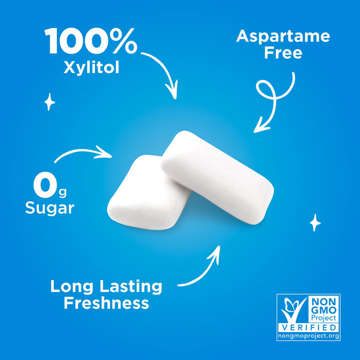 PUR - Peppermint Sugar-Free Chewing Gum (55 Pieces, Pack of 6)