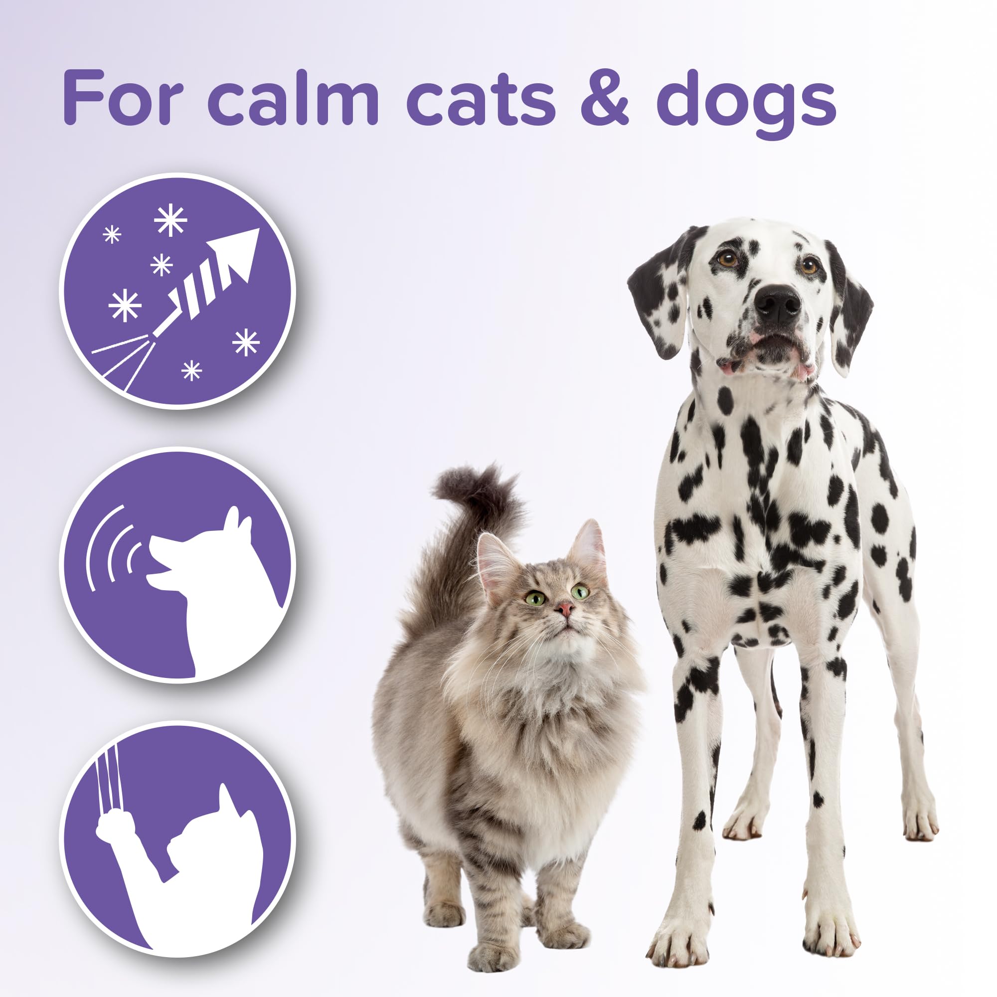 Beaphar Herbal Calming Tablets for Cats & Dogs - Natural Plant Extracts for Stress Relief | 1-Pack 3
