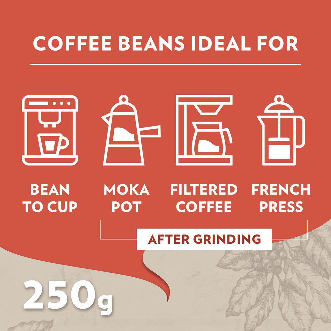 Lavazza Tales of Italy Roma - Whole Coffee Beans, 250g Soft Pack