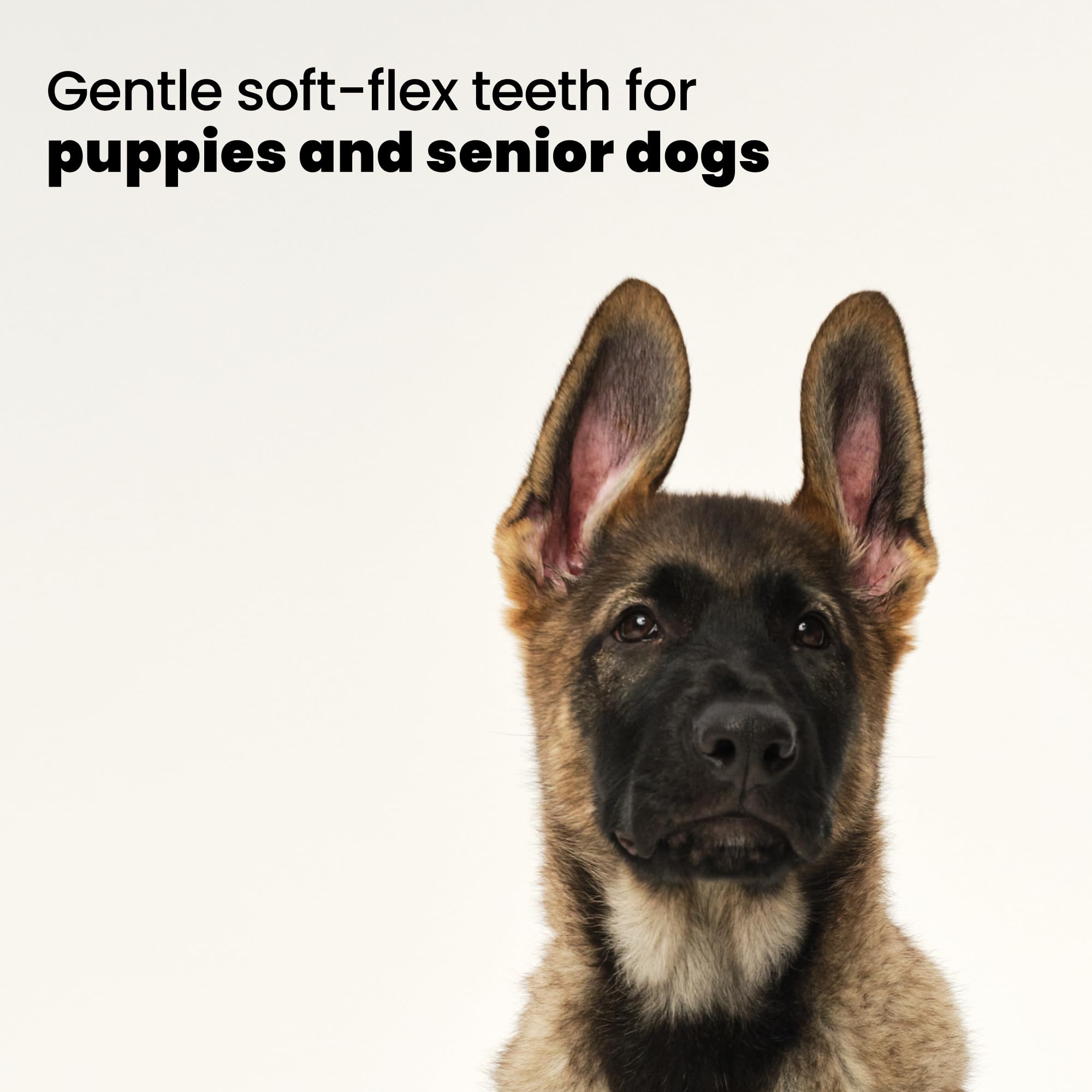 Pet Teezer Puppy Grooming Brush - Dual-Tier Teeth | Gentle on Sensitive Skin | Lilac 3