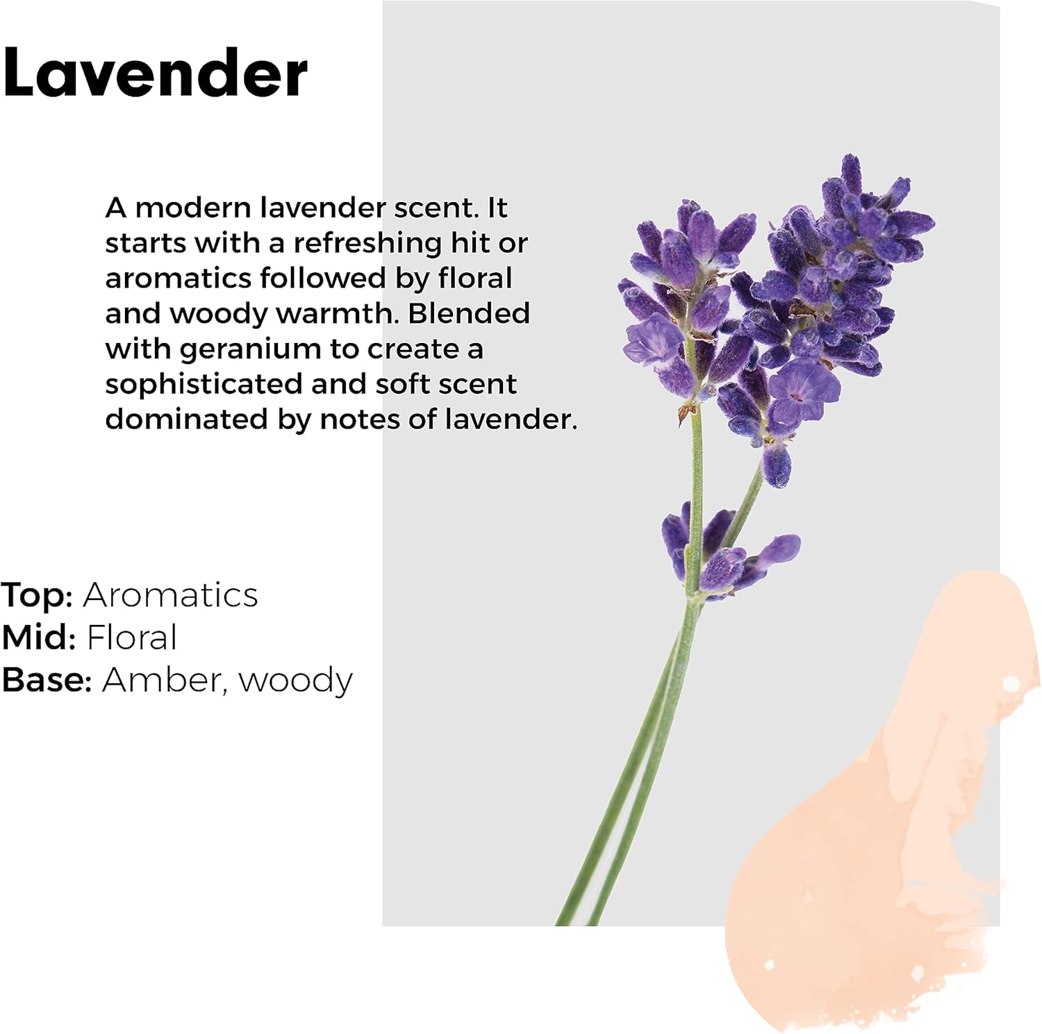 Wilton London Eco-Friendly Lavender Laundry Liquid (1.09 kg, 28 Washes) 3