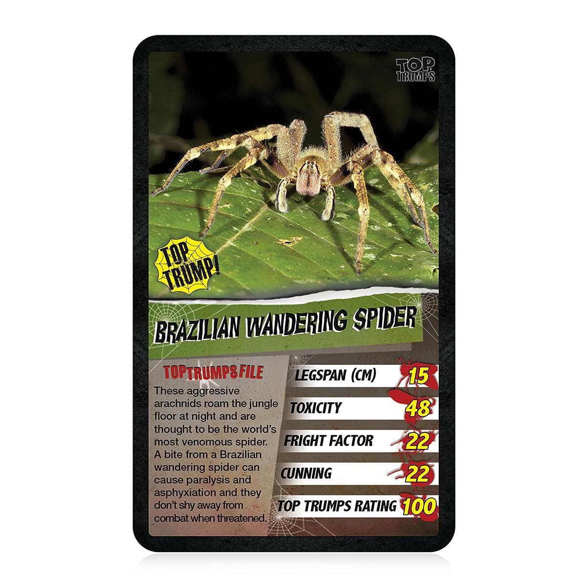 Top Trumps Spiders Classics Card Game - Educational Wildlife Game for Kids Ages 6+ 9
