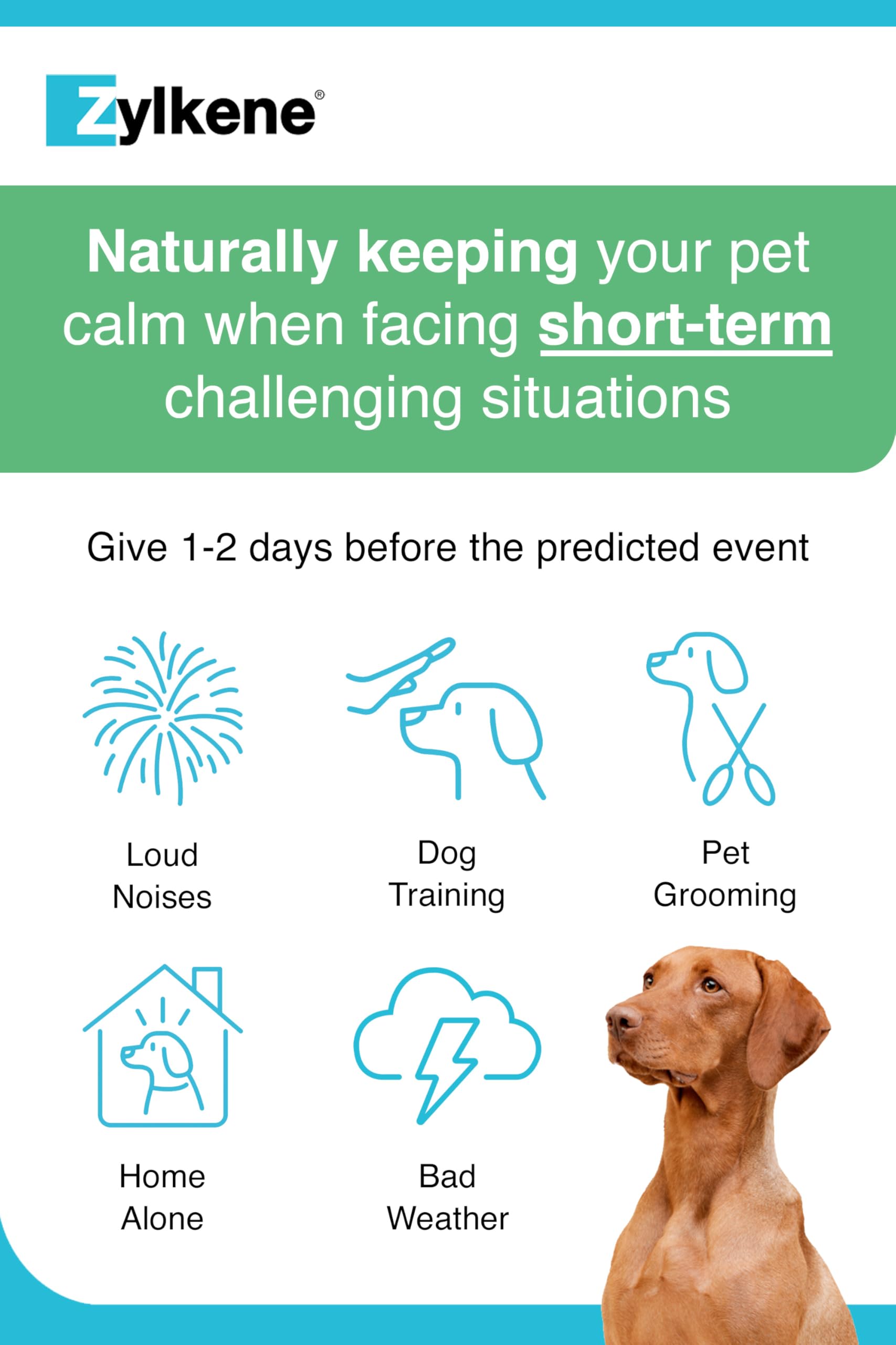 Zylkene Calming Supplements for Medium Dogs (10 to 30kg) 225mg | Promotes Relaxation 5