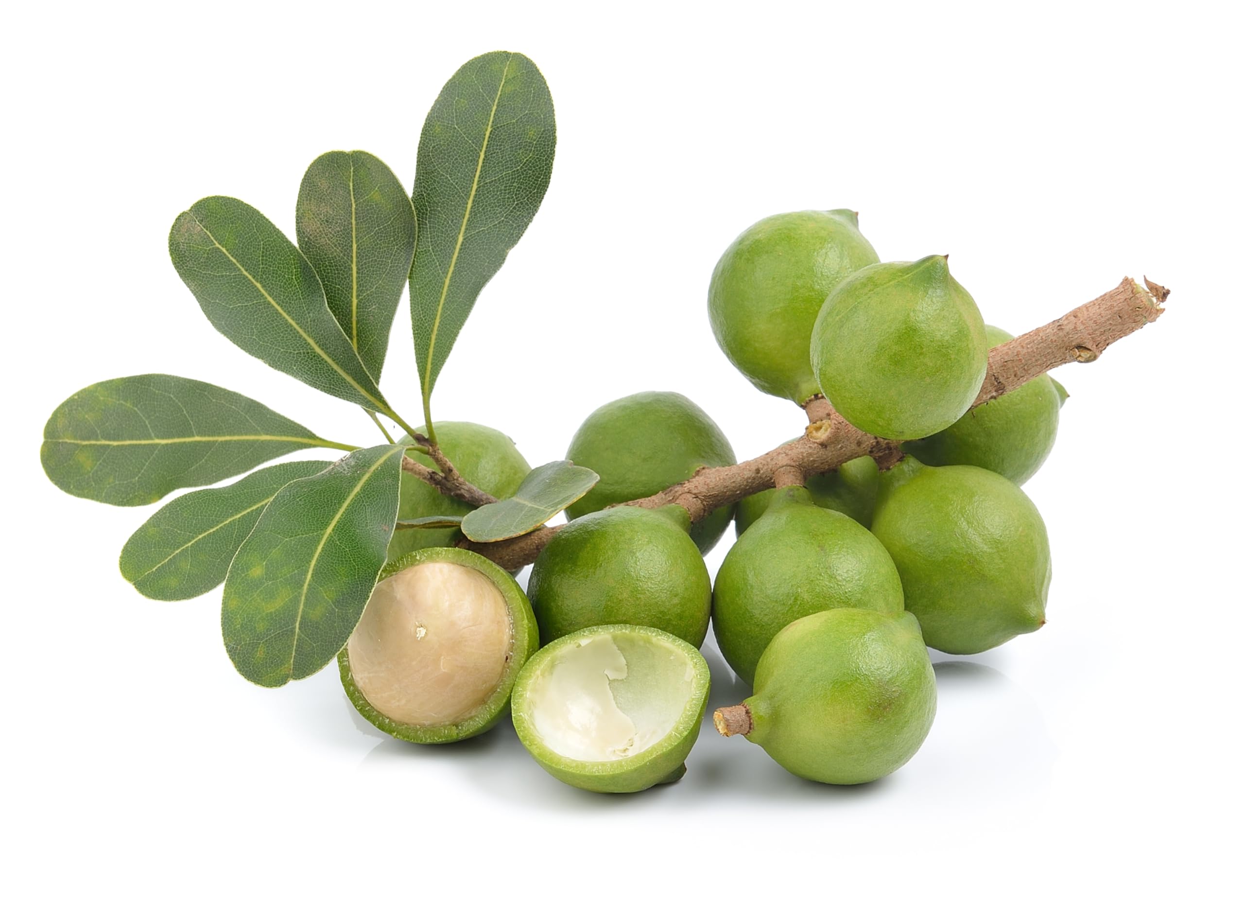 Mundo Feliz Organic Raw Macadamia Nuts 5 x 100 g 4