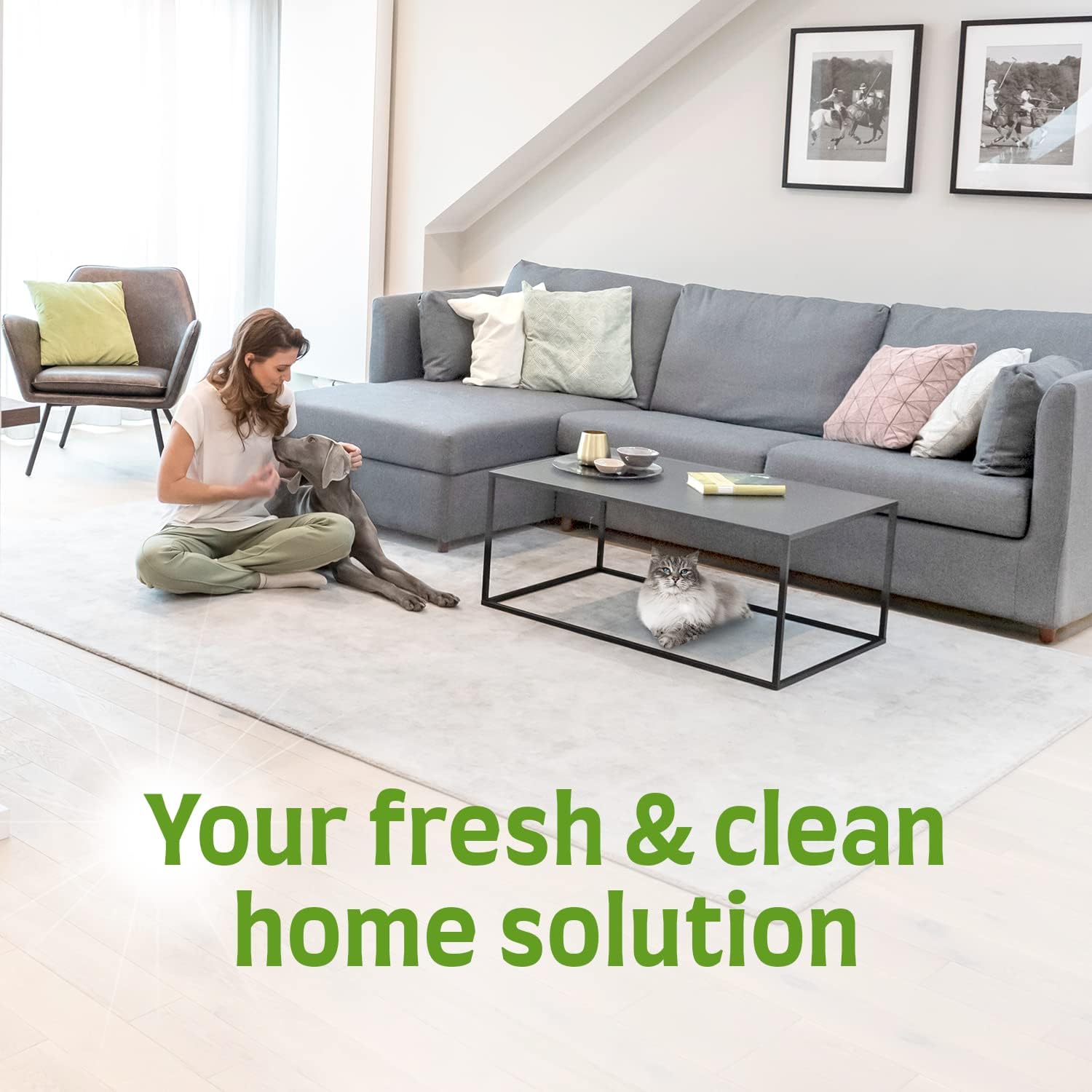 Nature's Miracle Ultimate Flecken- und Geruchsentferner für Katzen – Extra starke bioenzymatische Formel (1,03 kg) 7