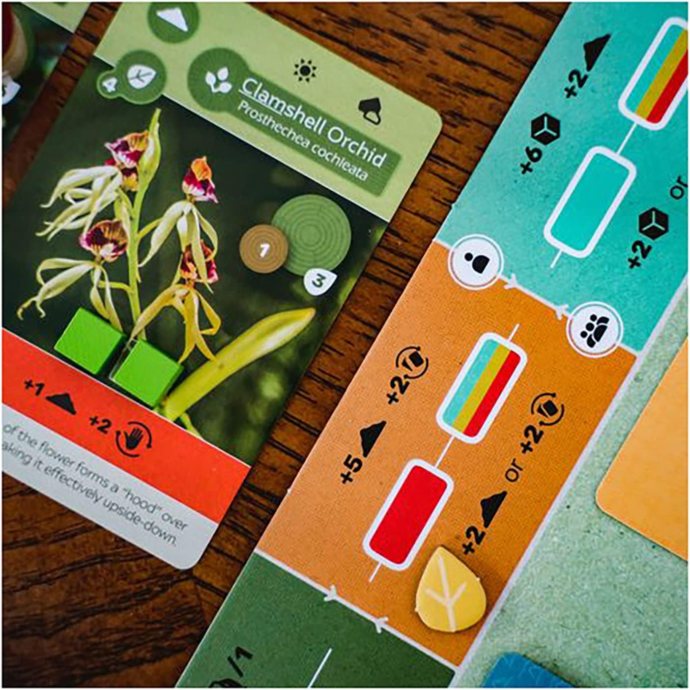 Inside Up Games Earth Board Game | Ages 14+ | 1-5 Players | 45-90 Minutes 8
