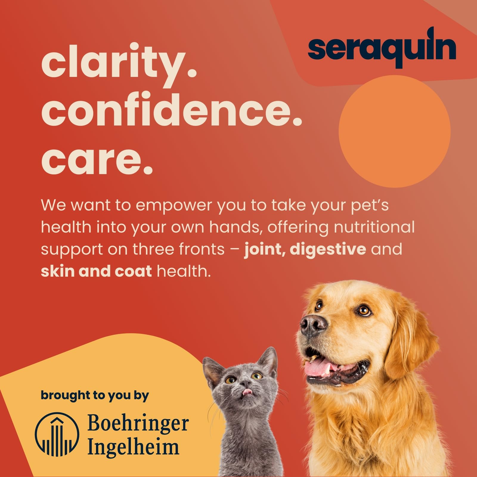 Seraquin Digest - Diarrhoea Support Paste for Dogs | 30 ml 6