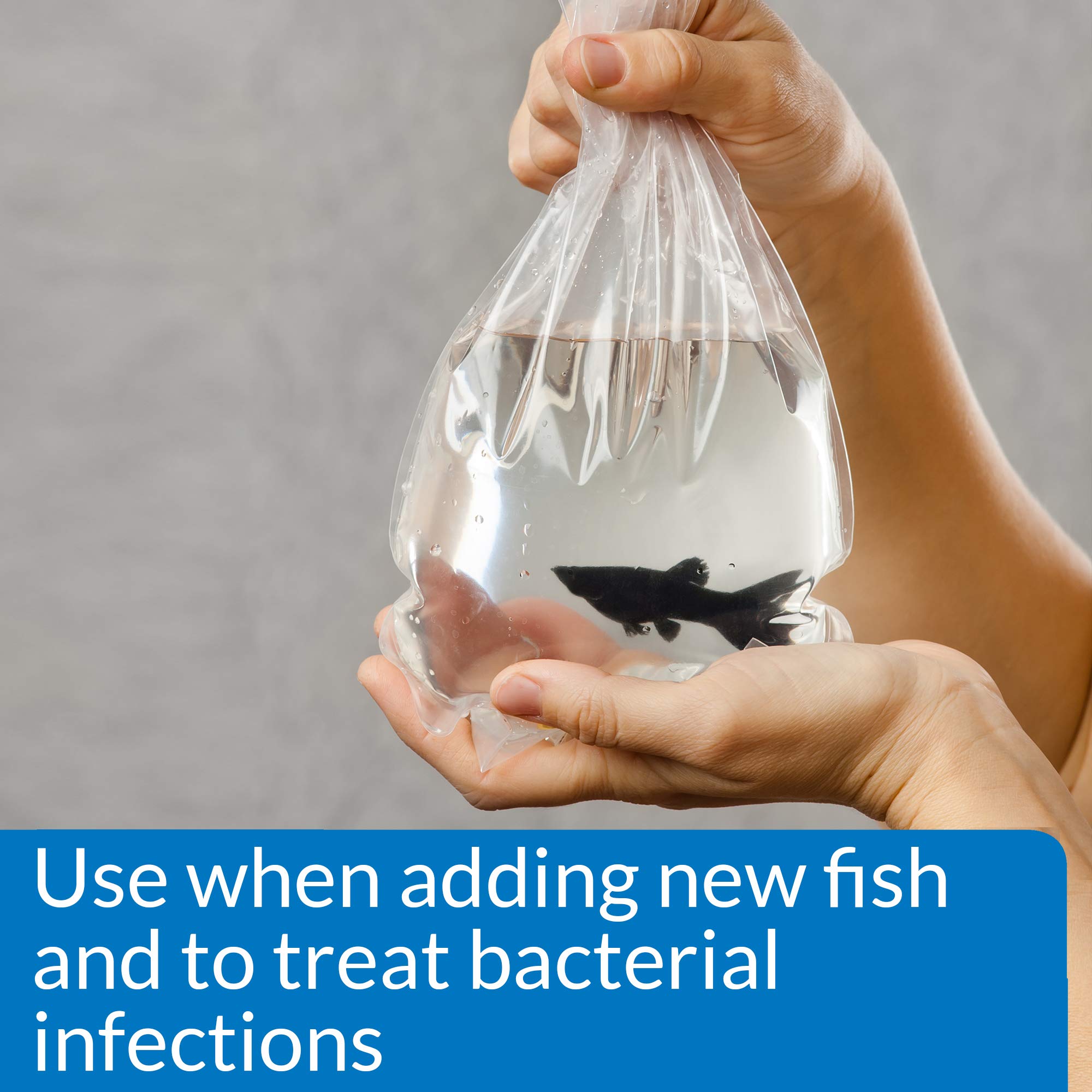 API MELAFIX Freshwater Fish Bacterial Infection Remedy - Heals Wounds & Fins | 473 ml Bottle 3